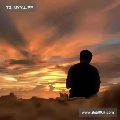 怀献义
